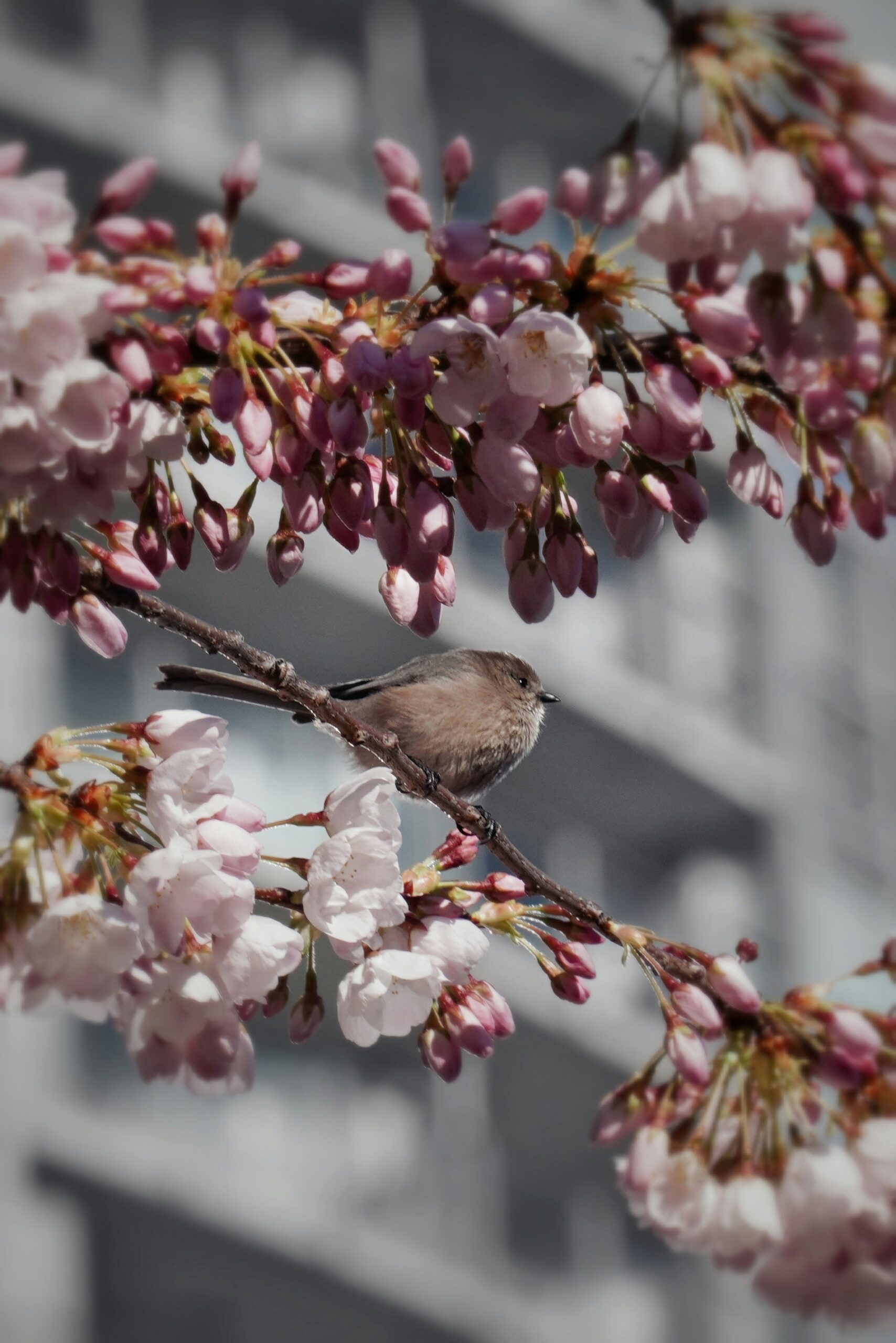 Spring Into Skincare